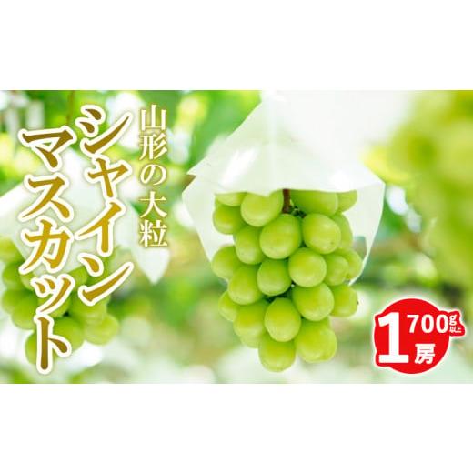 ふるさと納税 山形県 山形市 山形の大房シャインマスカット 700g以上 1房 FY24-009