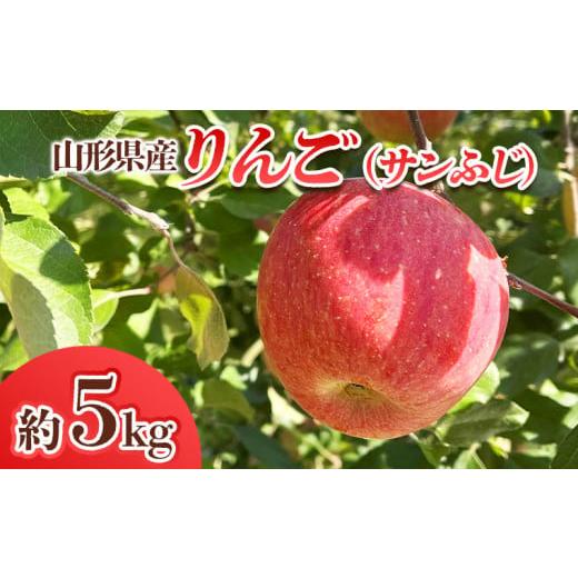 ふるさと納税 りんご 山形県 山形市 山形県産 りんご (サンふじ) 約5kg(14〜25玉) 令和8年産先行予約 FS25-765