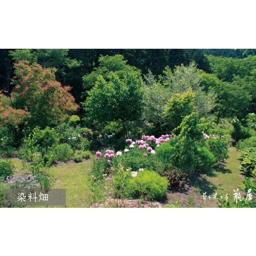 ふるさと納税 小物 ハンカチ・スカーフ 山形県 山形市 縮みショール（短） 紅花・菊芋 FY24-063の画像