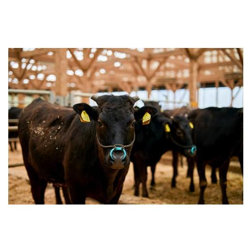 ふるさと納税 スポーツ・アウトドア 兵庫県 宍粟市 AO64 ミズノプロ