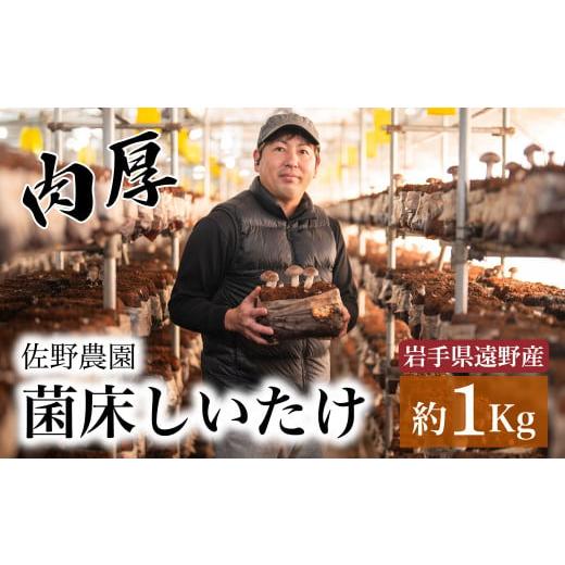 ふるさと納税 野菜類 きのこ 岩手県 遠野市 遠野産 菌床 しいたけ 1kg / 岩手県 遠野市 佐野農園 道の駅 遠野 風の丘 産直