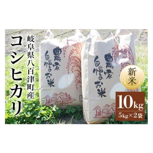 ふるさと納税 米 コシヒカリ 岐阜県 八百津町 米 令和7年度米 八百津町産コシヒカリ 10kg 数量限定(459)