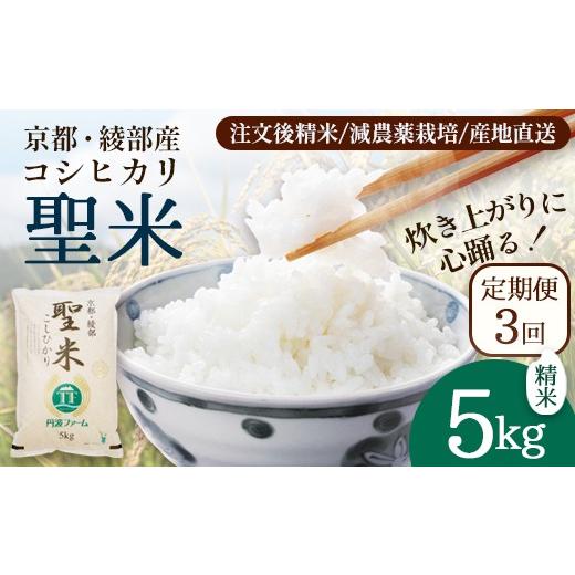 ふるさと納税 米 コシヒカリ 京都府 綾部市 定期便3回 聖米(精米) 5kg×3回 | 米 お米 こしひかり 白米 精米 ごはん おこめ 国産 お米の定期便 京都府 綾部市…
