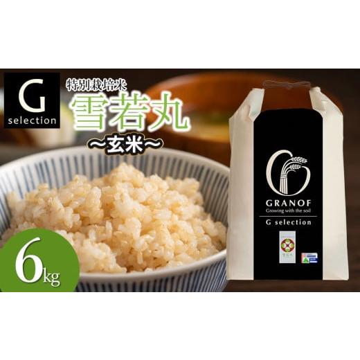 ふるさと納税 米 山形県 鶴岡市 令和7年産 新米 特別栽培米 Gセレクション 雪若丸 玄米 6kg(6kg×1袋) 山形県鶴岡市産 株式会社グラノフ 玄米