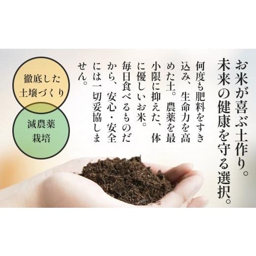 ふるさと納税 米 コシヒカリ 京都府 綾部市 定期便3回 聖米(精米) 10kg×3回 | 米 お米 こしひかり 白米 精米 ごはん おこめ 国産 お米の定期便 京都府 綾部…_8