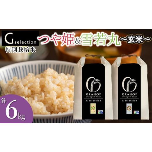 ふるさと納税 米 つや姫 山形県 鶴岡市 令和7年産 新米 特別栽培米 Gセレクション つや姫・雪若丸 玄米 各6kg×1袋 (合計12kg) 食べ比べセット 山形県鶴岡市…