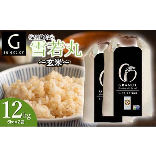 ふるさと納税 玄米 山形県 鶴岡市 令和7年産 新米 特別栽培米 Gセレクション 雪若丸 玄米 12kg (6kg×2袋) 山形県鶴岡市産 株式会社グラノフ 玄米