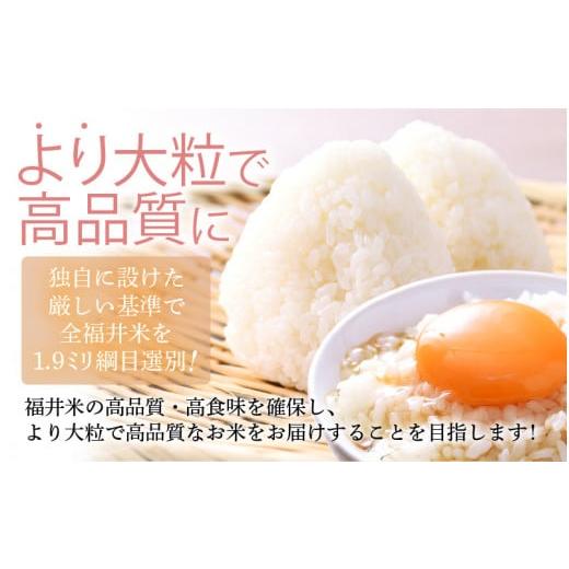 ふるさと納税 福井県 美浜町 【先行予約】【令和6年産・新米】米 コシヒカリ 5kg × 1袋 精米 福井県美浜町産【2024年11月下旬発送予定】 [m60-a012_11] 11月…｜furusatochoice｜06