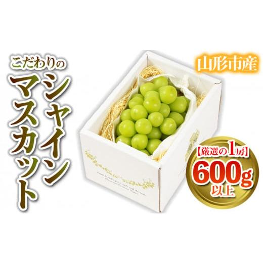ふるさと納税 ぶどう マスカット 山形県 山形市 厳選の1房 こだわりの シャインマスカット 600g以上 山形市産 (9月中旬〜10月上旬順次発送) 令和8年産先行予…