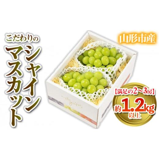ふるさと納税 ぶどう マスカット 山形県 山形市 満足の2〜3房 こだわりのシャインマスカット 約1.2kg 山形市産 (9月中旬〜10月上旬順次発送) 令和8年産先行予…