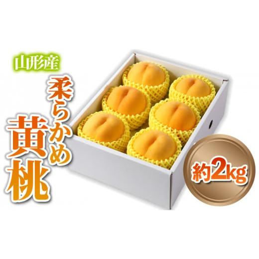 ふるさと納税 もも 山形県 山形市 山形産 柔らかめ 「黄桃」 秀品 約2kg (5玉〜8玉) 令和8年産先行予約 FS24-082 くだもの 果物 フルーツ 山形 山形県 山形市 …