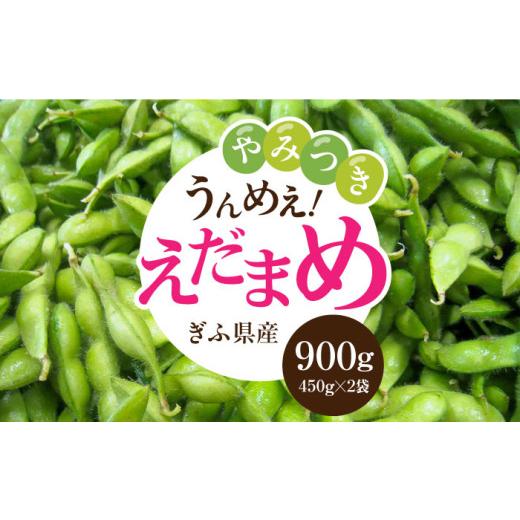 ふるさと納税 豆類 枝豆 岐阜県 岐阜市 先行予約 うまっ やみつき必須 うんめえ枝豆 900g 配送不可地域:北海道・沖縄・離島 産地直送 野菜 えだまめ 岐阜市 …
