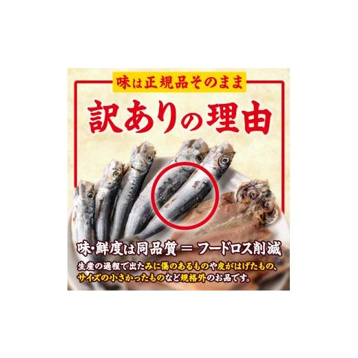ふるさと納税 干物 サバ 大分県 佐伯市  定期便・全6回 (隔月) 訳あり 干物大満足BOX (240尾以上)定期便 簡単 調理 干物 あじ かます さば いわし みりん干し …の画像