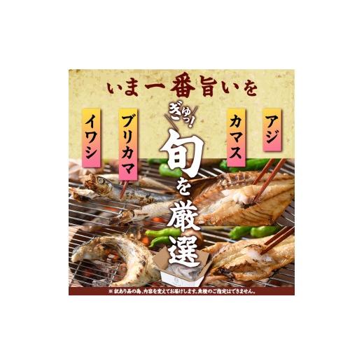 ふるさと納税 干物 サバ 大分県 佐伯市  定期便・全6回 (隔月) 訳あり 干物大満足BOX (240尾以上)定期便 簡単 調理 干物 あじ かます さば いわし みりん干し …の画像