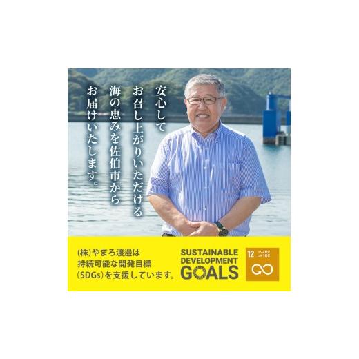 ふるさと納税 干物 サバ 大分県 佐伯市  定期便・全6回 (隔月) 訳あり 干物大満足BOX (240尾以上)定期便 簡単 調理 干物 あじ かます さば いわし みりん干し …の画像