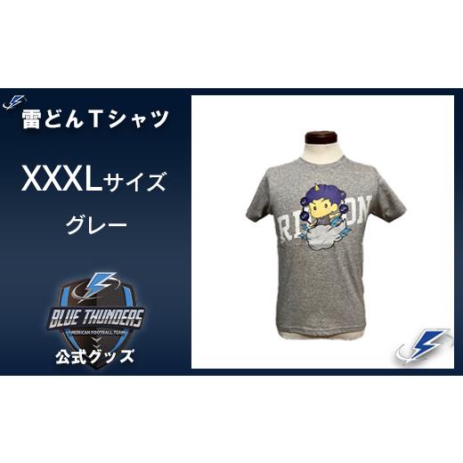 ふるさと納税 服 千葉県 市川市 ブルーサンダース 雷どんTシャツ(大きいサイズ) カラー:グレー/サイズ:XXXL 12203-0209 カラー:グレー/サイズ:XXXL