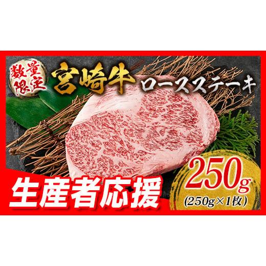 ふるさと納税 宮崎県 日南市 生産者応援 数量限定 宮崎牛 ロース ステーキ 1枚 牛肉 ビーフ 黒毛和牛 ミヤチク 国産 ブランド牛 食品 おかず ディナー 人気 お…