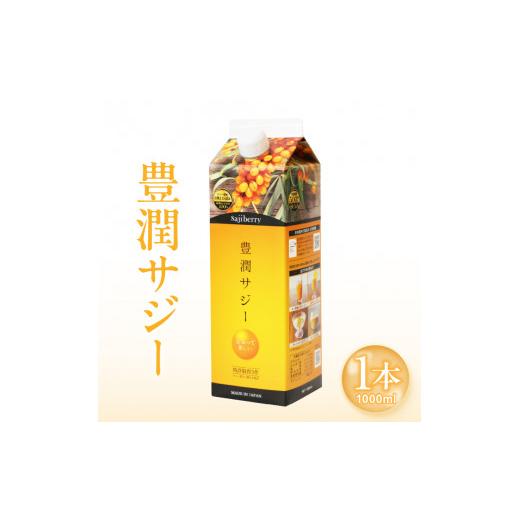ふるさと納税 果汁飲料 宮崎県 宮崎市 豊潤サジー 1000ml サジージュース 紙パックタイプ _M327-001 15,000円 1本