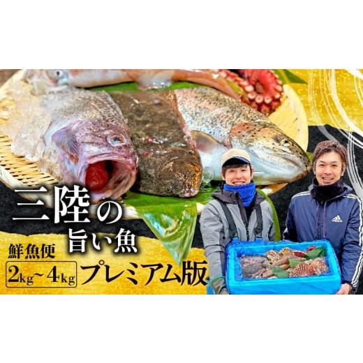 ふるさと納税 岩手県 大船渡市 「下処理あり」[産地直送]三陸旨し!季節の鮮魚便 [極みプレミアム] 2〜3人前 「下処理あり」