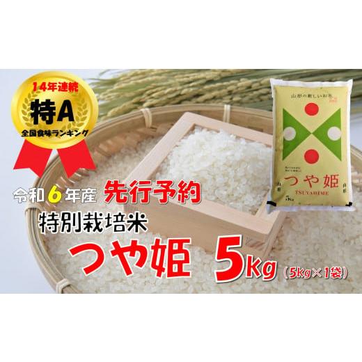 ふるさと納税 山形県 小国町 [令和6年新米 先行予約]山形県小国町産 つや姫5kg