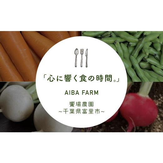 ふるさと納税 セット・詰合せ 千葉県 富里市  10ヶ月 定期便 栽培期間中農薬不使用 農家直送 「９品」季節の新鮮野菜詰め合わせセット AIBA FARM TML004 ／ 野…の画像