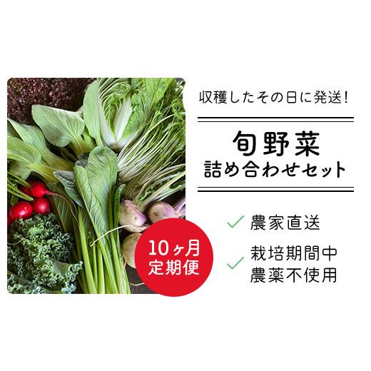 ふるさと納税 セット・詰合せ 千葉県 富里市  10ヶ月 定期便 栽培期間中農薬不使用 農家直送 「９品」季節の新鮮野菜詰め合わせセット AIBA FARM TML004 ／ 野…の画像