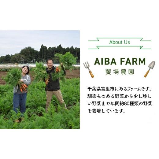 ふるさと納税 セット・詰合せ 千葉県 富里市  10ヶ月 定期便 栽培期間中農薬不使用 農家直送 「９品」季節の新鮮野菜詰め合わせセット AIBA FARM TML004 ／ 野…の画像