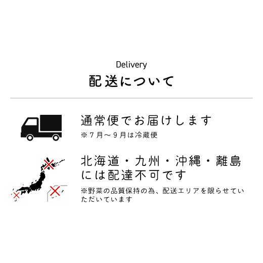 ふるさと納税 セット・詰合せ 千葉県 富里市  10ヶ月 定期便 栽培期間中農薬不使用 農家直送 「９品」季節の新鮮野菜詰め合わせセット AIBA FARM TML004 ／ 野…の画像