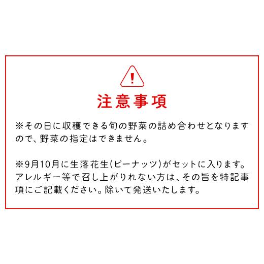 ふるさと納税 セット・詰合せ 千葉県 富里市  10ヶ月 定期便 栽培期間中農薬不使用 農家直送 「９品」季節の新鮮野菜詰め合わせセット AIBA FARM TML004 ／ 野…の画像