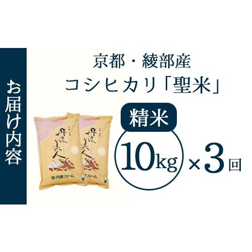 ふるさと納税 米 コシヒカリ 京都府 綾部市 定期便3回 丹波美人 白米 10kg（5kg×2）×3回 | 米 お米 こしひかり 白米 精米 ごはん おこめ 国産 お米の定期便…_2