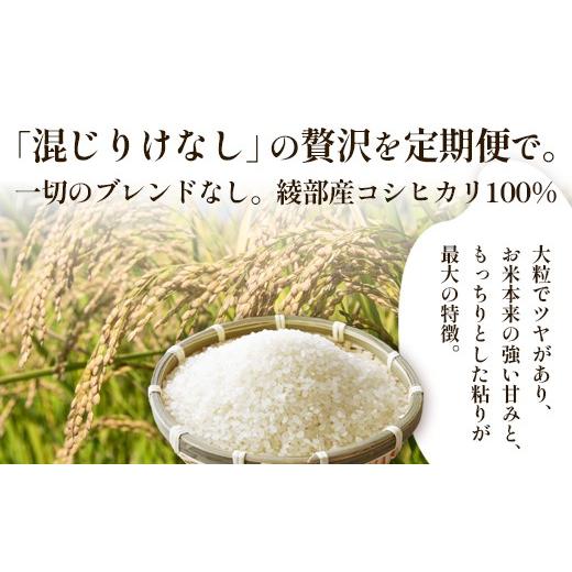 ふるさと納税 米 コシヒカリ 京都府 綾部市 定期便3回 丹波美人 白米 10kg（5kg×2）×3回 | 米 お米 こしひかり 白米 精米 ごはん おこめ 国産 お米の定期便…_3