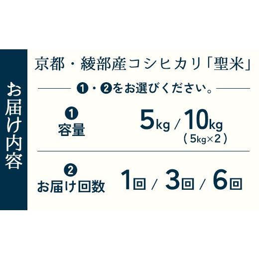 ふるさと納税 米 コシヒカリ 京都府 綾部市 定期便3回 丹波美人 白米 10kg（5kg×2）×3回 | 米 お米 こしひかり 白米 精米 ごはん おこめ 国産 お米の定期便…_6