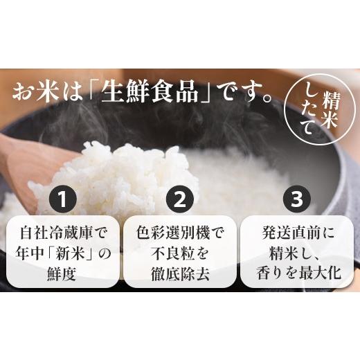 ふるさと納税 米 コシヒカリ 京都府 綾部市 定期便3回 丹波美人 白米 10kg（5kg×2）×3回 | 米 お米 こしひかり 白米 精米 ごはん おこめ 国産 お米の定期便…_7