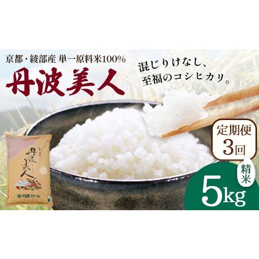 ふるさと納税 米 コシヒカリ 京都府 綾部市 定期便3回 丹波美人 白米 5kg×3回 | 米 お米 こしひかり 白米 精米 ごはん おこめ 国産 お米の定期便 京都府 綾…