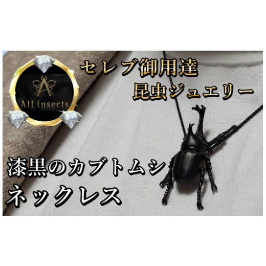 ふるさと納税 アクセサリー ネックレス 山梨県 甲斐市 カブトムシネックレス　ブラックカラー　All insects　 セレブ御用達 世界30個限定 運気UP 今、世界中か…_1
