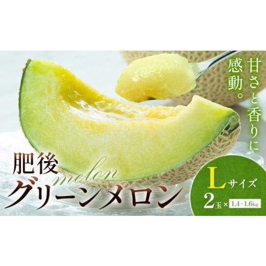 ふるさと納税 メロン メロン青肉 熊本県 菊池市 メロン 肥後グリーンメロン 中 Lサイズ 2玉 約1.4〜1.6kg×2 MOTOYAMA358FARM [2026年4月中旬-6月中旬頃出荷…