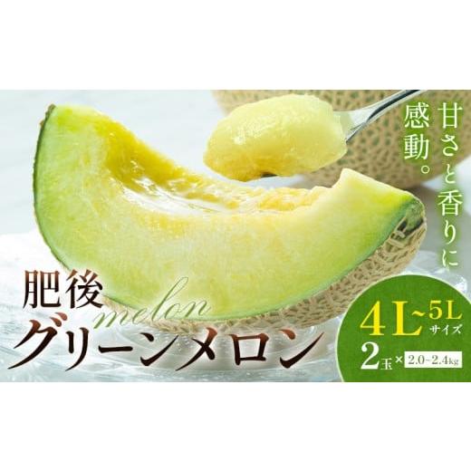 ふるさと納税 メロン メロン青肉 熊本県 菊池市 先行予約 メロン 肥後グリーンメロン 特大 4L 〜 5L サイズ 2玉 約2〜2.4kg×2 MOTOYAMA358FARM [2026年4月…