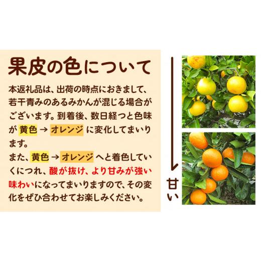 ふるさと納税 和歌山県 日高町 訳あり ゆら 早生 みかん 約 5kg (2S〜Lサイズ) どの坂果樹園《10月中旬-12月上旬頃出荷予定》 和歌山県 日高町 みかん ゆら早…｜furusatochoice｜05