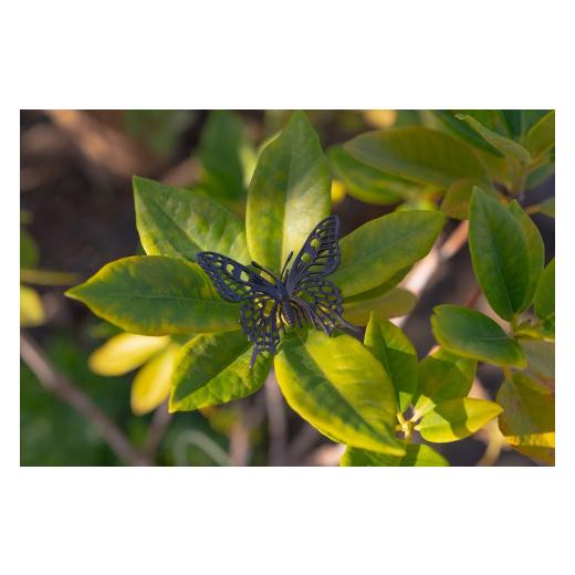 ふるさと納税 アクセサリー ネックレス 山梨県 甲斐市 アゲハ蝶ネックレス　ブラックカラー　All insects　 セレブ御用達 世界30個限定 今、世界中から熱視線…の画像