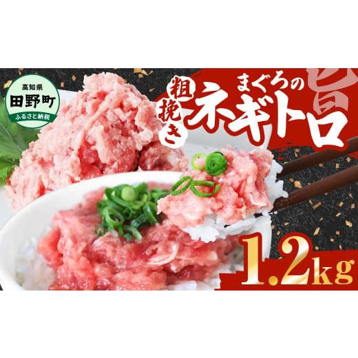 ふるさと納税 マグロ 高知県 田野町 ネギトロ まぐろ1.2kg (80gk×15パック) カネアリ水産 ネギトロ ねぎとろ ネギトロ 小分け 冷凍 ネギトロ丼 小分け マグロ…