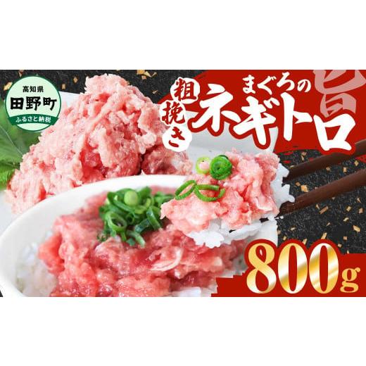 ふるさと納税 マグロ 高知県 田野町 ネギトロ 800g(80g×10パック) カネアリ水産 まぐろの ネギトロ ねぎとろ マグロ 鮪 まぐろたたき 粗挽き ねぎとろ丼 ネ…