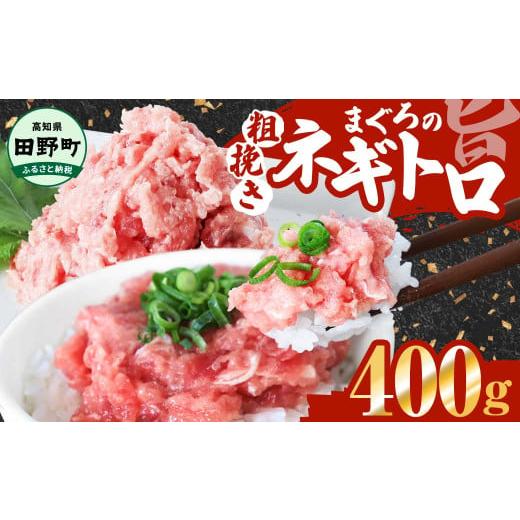 ふるさと納税 マグロ 高知県 田野町 ネギトロ 400g(80g×5パック) カネアリ水産 ネギトロ まぐろの ねぎとろ マグロ 鮪 まぐろたたき 粗挽き ねぎとろ丼 ネ…