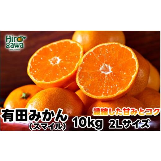 ふるさと納税 果物類 みかん 和歌山県 広川町 有田 みかん 10kg 秀品 2Lサイズ / 温州みかん 有田みかん 甘い 和歌山 柑橘 2026年11月下旬〜2027年1月中旬に…