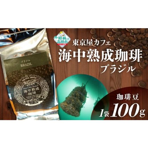 ふるさと納税 コーヒー コーヒー豆 岩手県 陸前高田市 豆 日本唯一の珈琲 海中熟成珈琲「ブラジル」100g コーヒー 豆 珈琲豆 熟成 自家焙煎 飲料 岩手 陸前高…