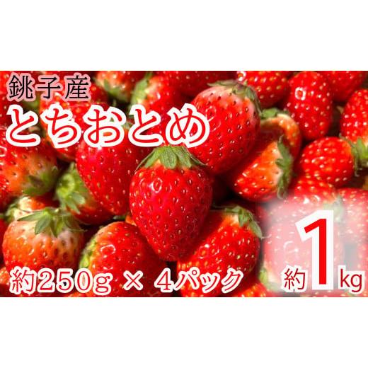 ふるさと納税 千葉県 銚子市 先行予約 とちおとめ 約1kg パック 250g × 4パック 千葉県 銚子市 松岸 神原いちご園 いちご イチゴ 苺 人気 定番 食べやすい…