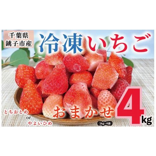 ふるさと納税 千葉県 銚子市 冷凍いちご 4kg ( 1kg × 4 ) とちおとめ やよいひめ 冷凍イチゴ 神原いちご園 銚子産 苺 いちご イチゴ 真空パック 冷凍 冷凍…