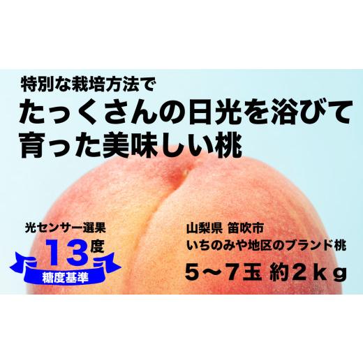 ふるさと納税 もも 山梨県 笛吹市 2026年発送 糖度13度基準 いちのみやの桃 5〜7玉 約2kg 扇状地・Y字栽培 肥沃な大地と沢山の日光で育った桃 バイパス清果園 …の画像