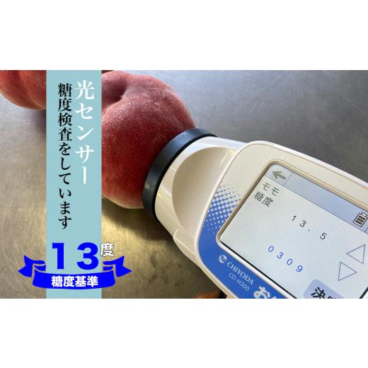 ふるさと納税 もも 山梨県 笛吹市 2026年発送 糖度13度基準 いちのみやの桃 5〜7玉 約2kg 扇状地・Y字栽培 肥沃な大地と沢山の日光で育った桃 バイパス清果園 …の画像
