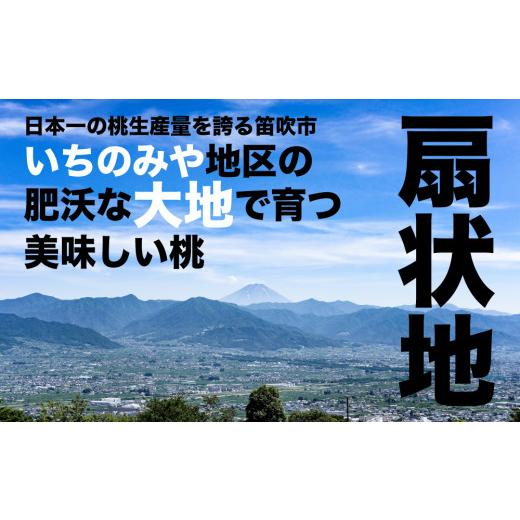 ふるさと納税 もも 山梨県 笛吹市 2026年発送 糖度13度基準 いちのみやの桃 5〜7玉 約2kg 扇状地・Y字栽培 肥沃な大地と沢山の日光で育った桃 バイパス清果園 …の画像