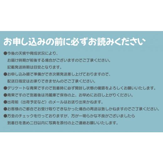 ふるさと納税 もも 山梨県 笛吹市 2026年発送 糖度13度基準 いちのみやの桃 5〜7玉 約2kg 扇状地・Y字栽培 肥沃な大地と沢山の日光で育った桃 バイパス清果園 …の画像